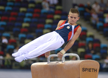 Kişi idman gimnastikası üzrə 22-ci Bakı Çempionatı və Birinciliyi. Bakı, Azərbaycan, 02 oktyabr 2015